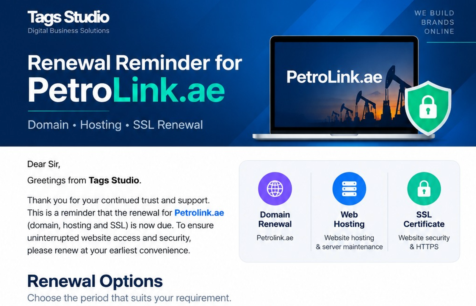 PetroLink.ae Domain, Hosting and SSL Renewal